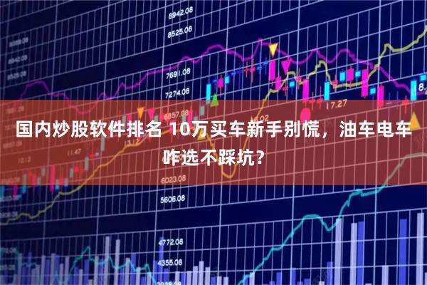 国内炒股软件排名 10万买车新手别慌，油车电车咋选不踩坑？