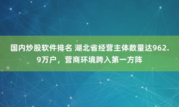 国内炒股软件排名 湖北省经营主体数量达962.9万户，营商环境跨入第一方阵
